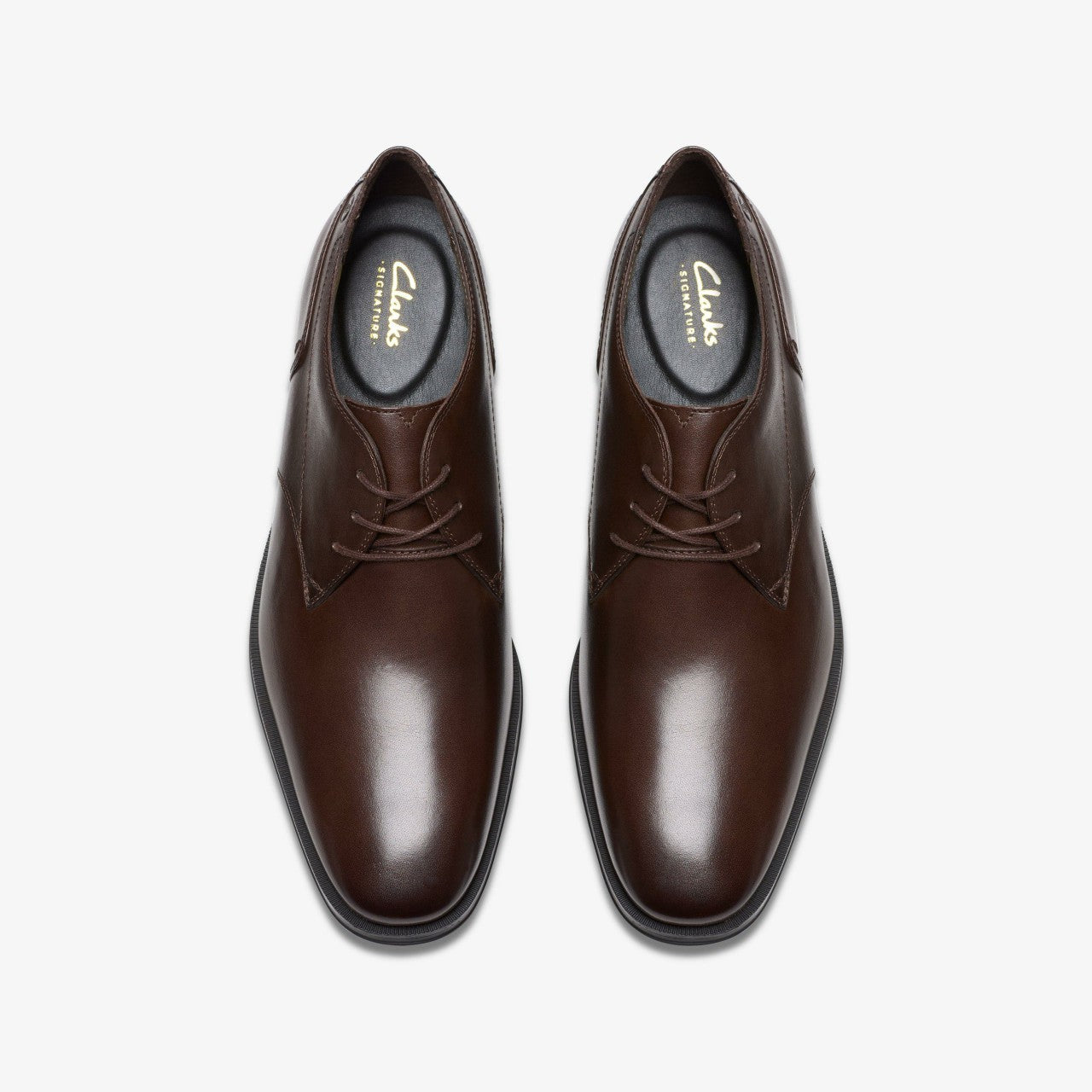 Paulton Lace Brown | Clarks discount