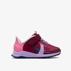 Berry Combination